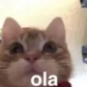 Emoji Fola