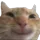Emoji hehecat