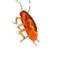 Emoji dancing_bug