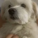 Emoji img28