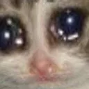 Emoji img110