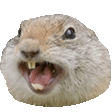 Emoji img111