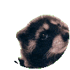 Emoji Pedro