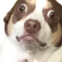 Emoji Quoi