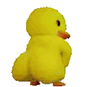 Emoji duckshakingit