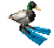 Emoji duckyflippers