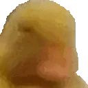 Emoji smhnopeduckling