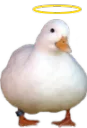 Emoji holyduck