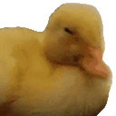 Emoji noduck