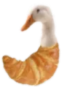 Emoji quacksant