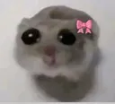 Emoji hamster