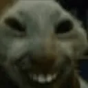 Emoji mole