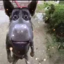 Emoji mytho