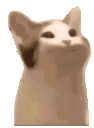 Emoji poppop_cat