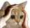 Emoji merde