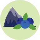 Emoji blueberrymountain