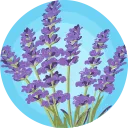 Emoji lavenderfields