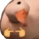 Emoji canardshy