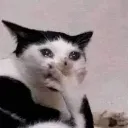 Emoji emoji_26