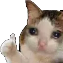 Emoji emoji_49
