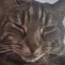 Emoji clindoeil