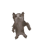 Emoji c_catDance