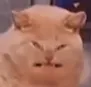 Emoji 26193oughwhatthehell