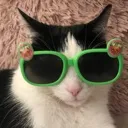 Emoji catgreenglasses