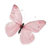 Emoji pinkbutterfly