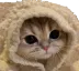 Emoji NekoCacheCache