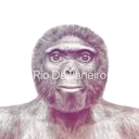 Emoji PR_MonkeyStare