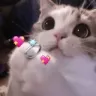 Emoji marry_me