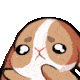 Emoji L_EPleadBunny