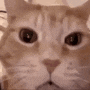 Emoji L_Ecatlaughing