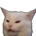 Emoji angrycat
