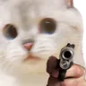 Emoji guncat