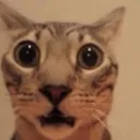 Emoji naaaah