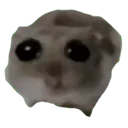 Emoji sowwy