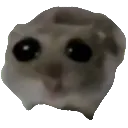 Emoji hamstermeme