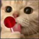 Emoji Euphoriansfw