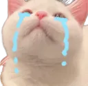 Emoji cat_cry