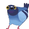 Emoji gif_pigeon_danse