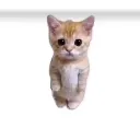 Emoji emoji_10