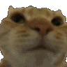 Emoji I7
