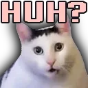 Emoji HuhCat
