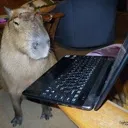 Emoji Capybara