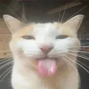 Emoji tongue
