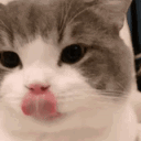 Emoji cat_miam