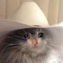Emoji sadcowboy
