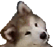 Emoji headtilt